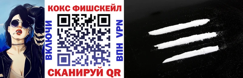 Cocaine VHQ  Купить где  Камбарка 