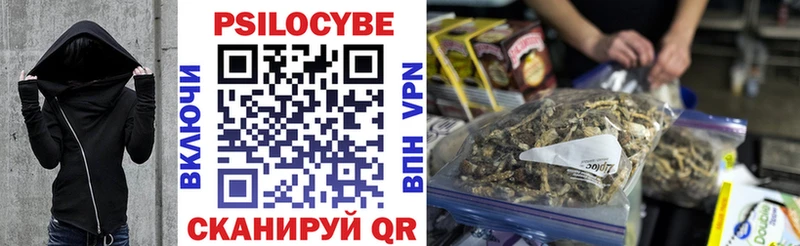 Купить где  Камбарка  Галлюциногенные грибы GOLDEN TEACHER 